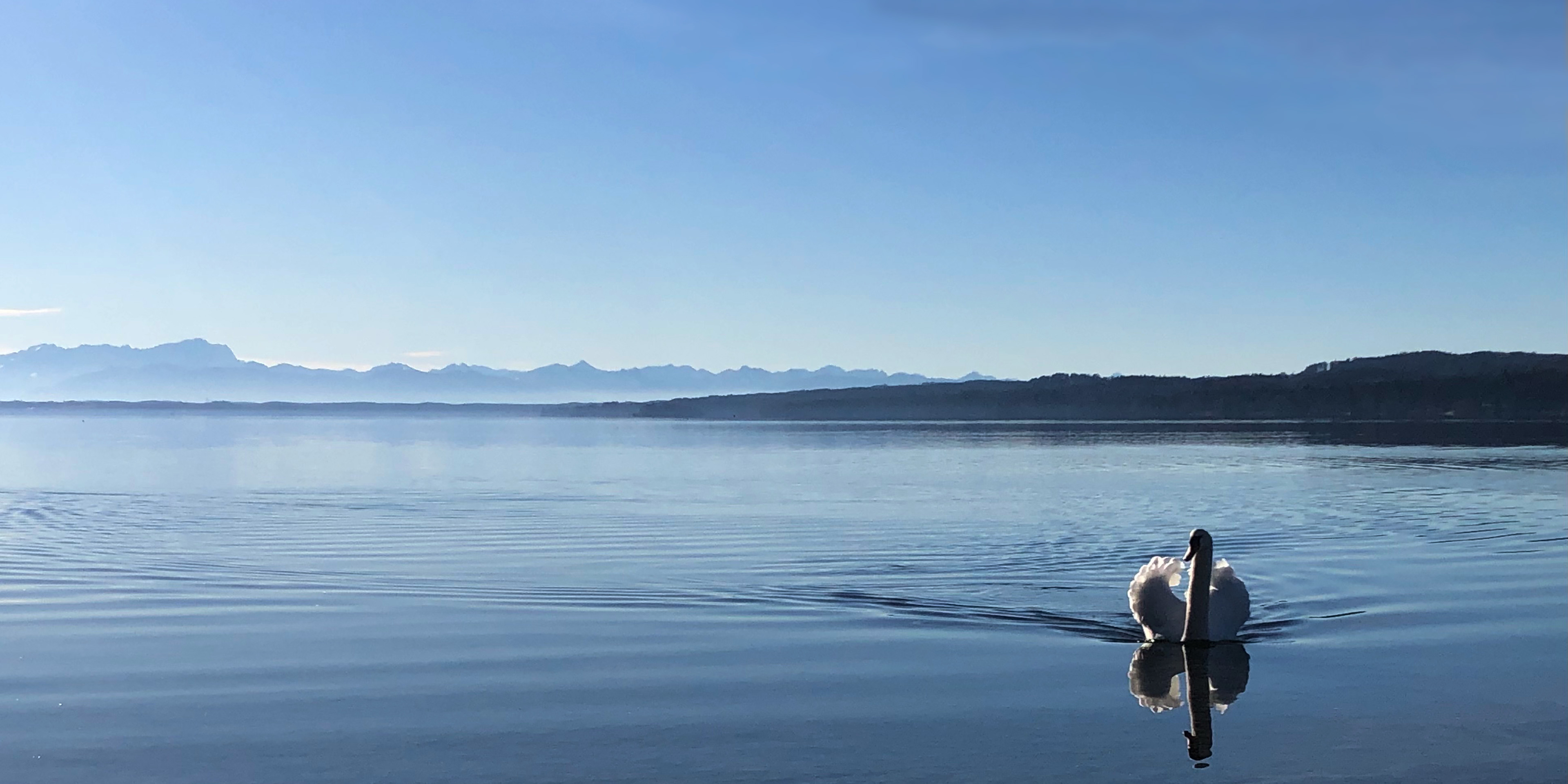 Starnberger See